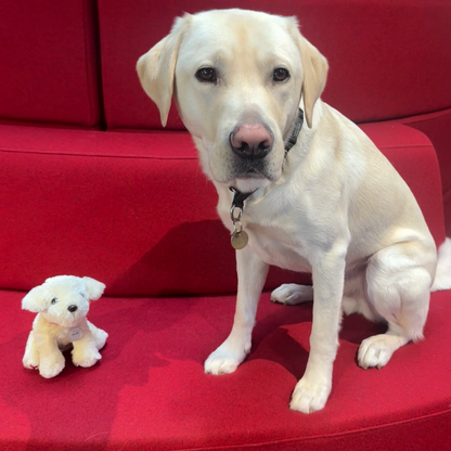 Ollie Plush Toy