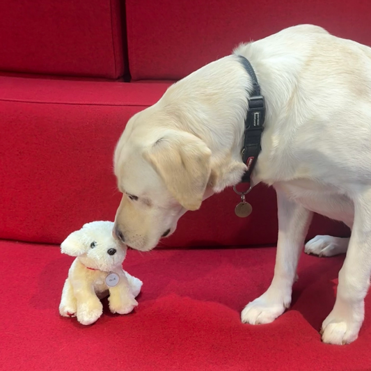 Ollie Plush Toy