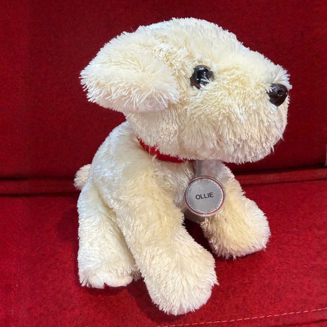 Ollie Plush Toy