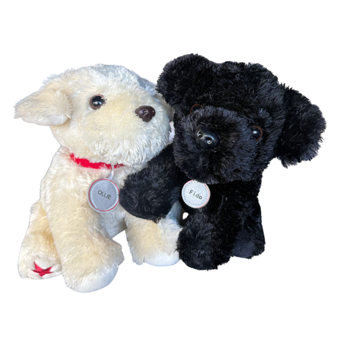 Ollie and Fido - The Good Dogs Duo