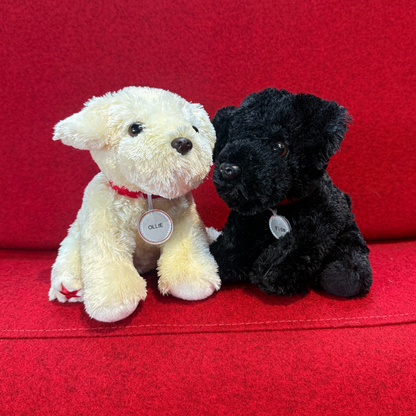 Ollie and Fido - The Good Dogs Duo