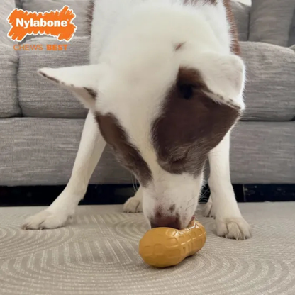 The Peanut Chew Toy